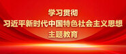 搞逼试看学习贯彻习近平新时代中国特色社会主义思想主题教育_fororder_ad-371X160(2)